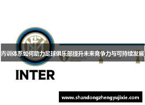 青训体系如何助力足球俱乐部提升未来竞争力与可持续发展
