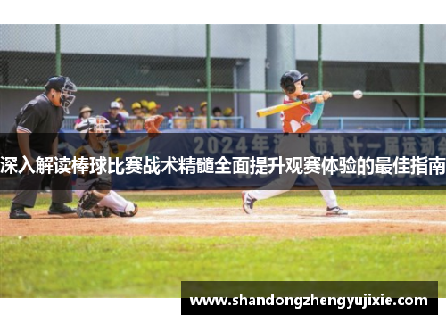 深入解读棒球比赛战术精髓全面提升观赛体验的最佳指南