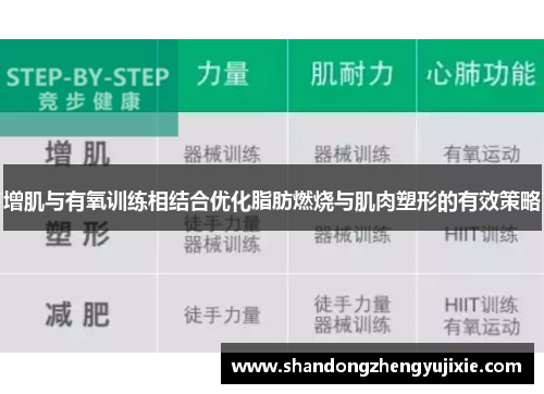 增肌与有氧训练相结合优化脂肪燃烧与肌肉塑形的有效策略