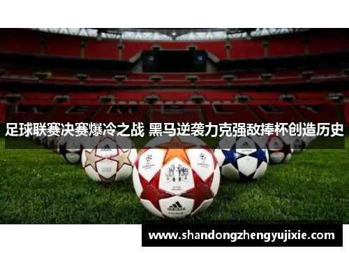 足球联赛决赛爆冷之战 黑马逆袭力克强敌捧杯创造历史