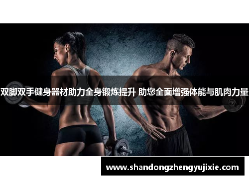 双脚双手健身器材助力全身锻炼提升 助您全面增强体能与肌肉力量