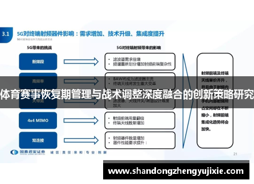 体育赛事恢复期管理与战术调整深度融合的创新策略研究