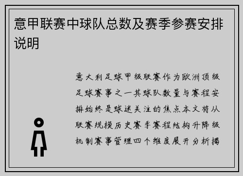 意甲联赛中球队总数及赛季参赛安排说明