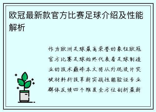 欧冠最新款官方比赛足球介绍及性能解析